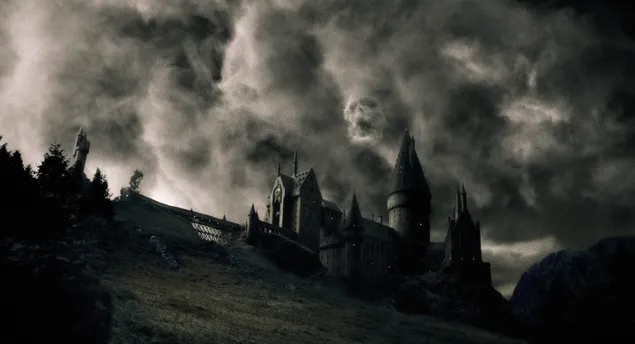 Brazo de Harry Potter Dumbledore descargar