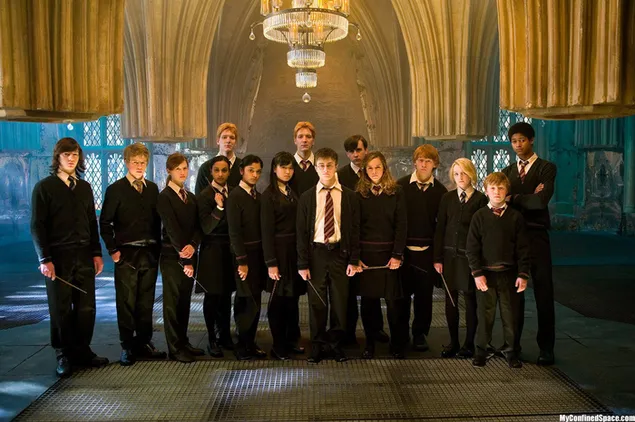 Estudiante de Harry Potter Dumbledore
