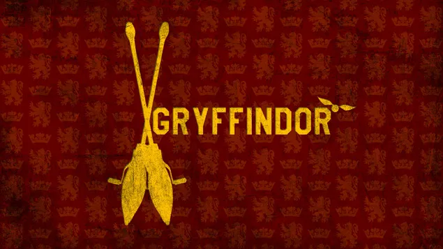 Harry Potter GryffindorS