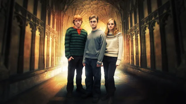 Hình nền Harry Potter Hermonie Granger Run Amazing Trio HD