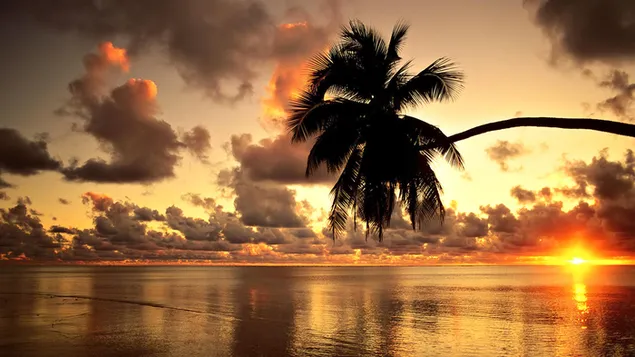 Hawaii strand zonsondergang download