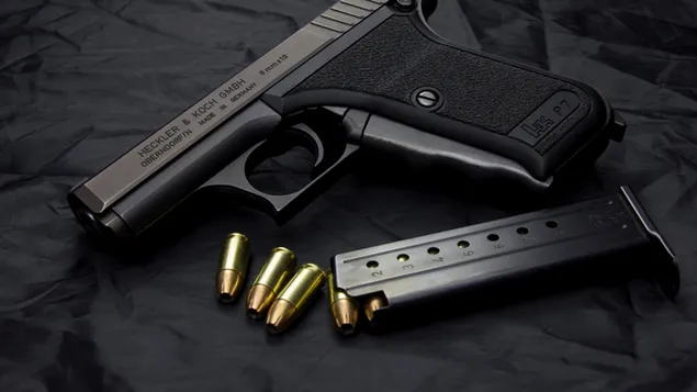 Heckler dan Kocho 4K wallpaper