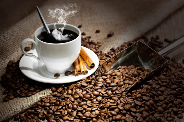 Heiße Tasse schwarzen Kaffee mit Zimt und Kaffeebohnen herunterladen