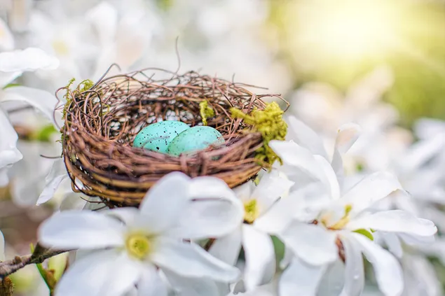 Hellgrünes Osterei in einem Nest auf einer weißen Blume