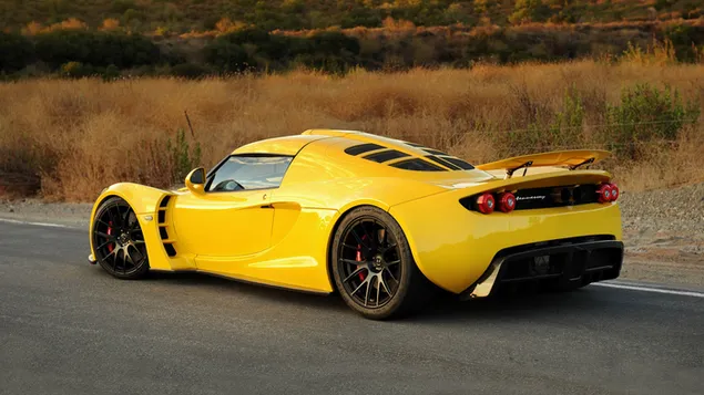 hennessey venom gt 2010 01 aflaai