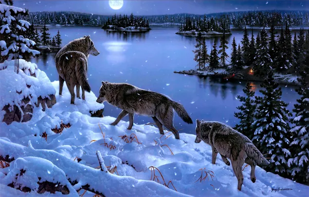 Herde von Wölfen, die auf einer verschneiten Straße im Wald bis zum Mondschein laufen