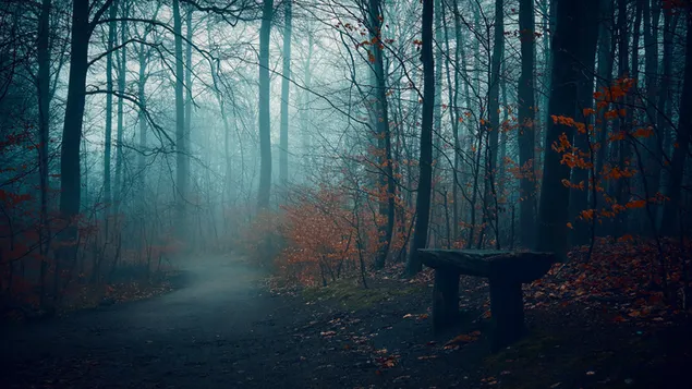 hermoso bosque oscuro descargar