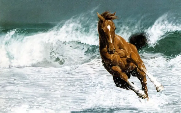 Het imposante paard dat vrij rondrent tussen de golven van de zee