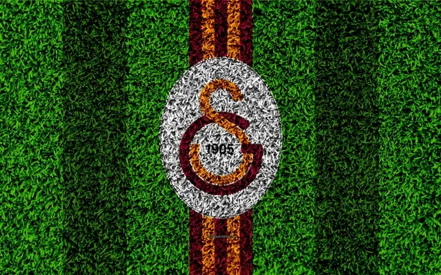 Het logo van Galatasaray, een van de Turkse superleagueteams, getekend op de graslijnen van het veld.