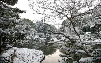 겨울의 희안진구 정원 HD 배경화면