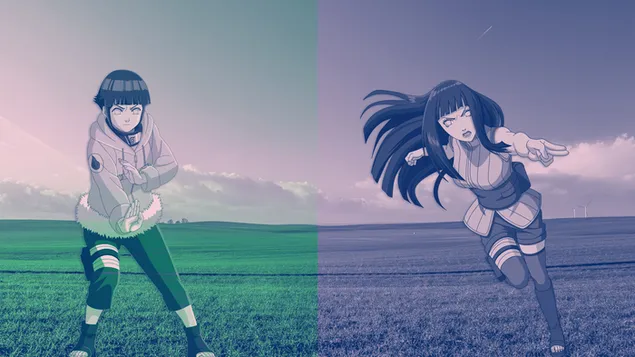 Hinata Hyuga - Naruto Shippuden download