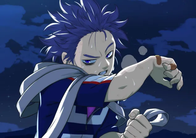 هیتوشی شینسو کاغذدیواری  HD