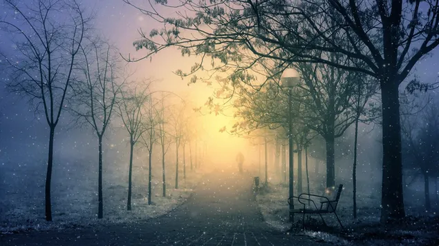 Hombre caminando solo en el parque de invierno