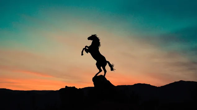 Paard silhouet en zonsondergang rode weergave steigerend op kliffen 2K achtergrond