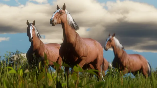 Chevaux de Red Dead Redemption 4K fond d'écran