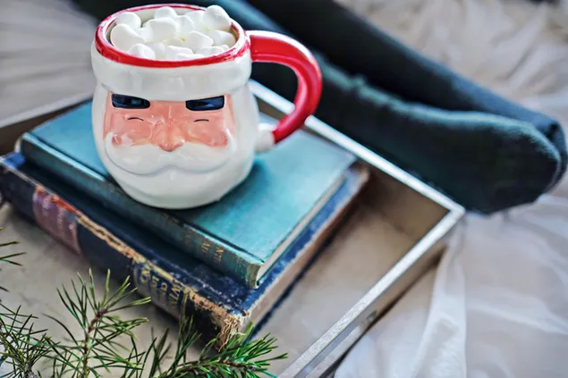 Choco dan Marshmallow panas dalam mug Sinterklas di atas buku