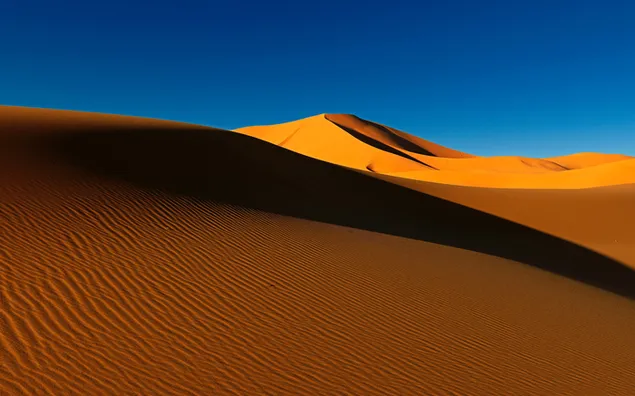 desierto caliente 2K fondo de pantalla