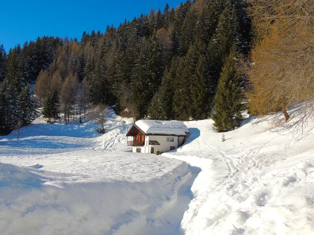 Rumah tertutup salju di hutan unduhan
