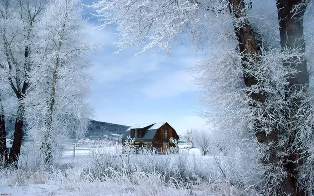 Casa en campo cubierto de nieve HD fondo de pantalla