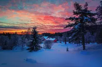 casa nella foresta d'inverno scarica