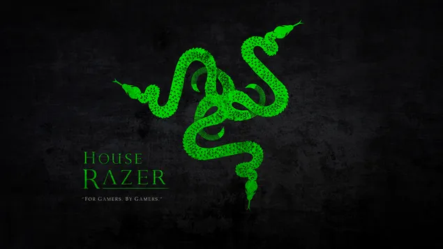 Razer rumah untuk gamer oleh gamer