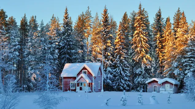 冬の家