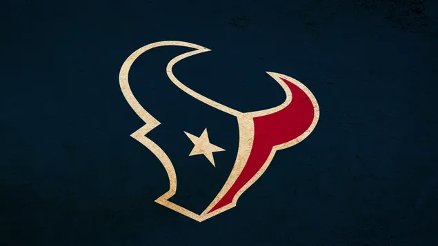Houston texans emblem 4K tapet