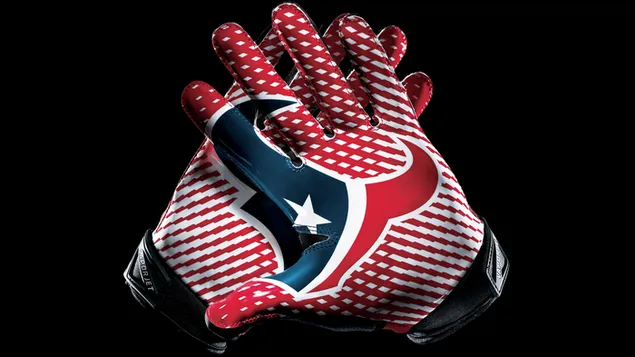 logo houston texas i lamhainni ioslodail