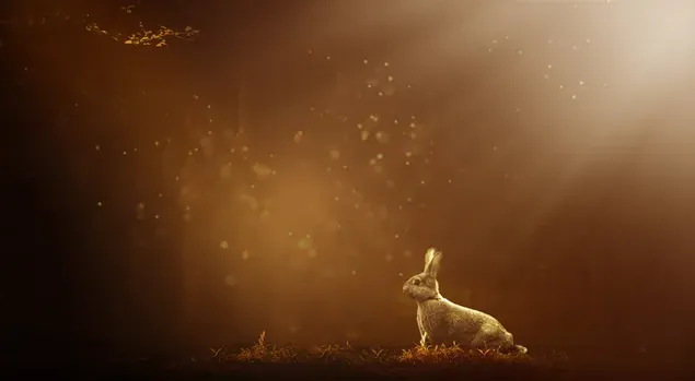 黄色のトーンの照らされたフィールドでかわいいウサギの好奇心旺盛な視線 ダウンロード