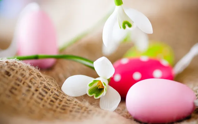 Huevo de Pascua rosado y rojo y una hermosa flor blanca
