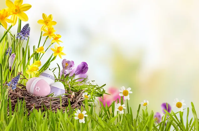 huevos de pascua en el nido descargar