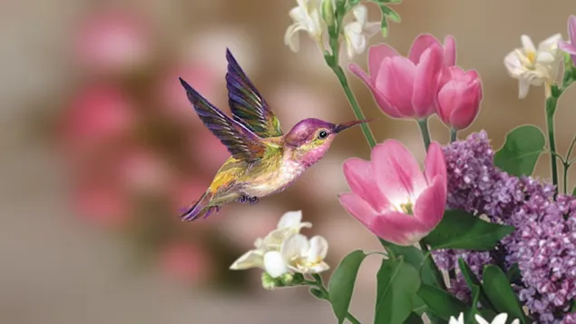 色とりどりの花の間を飛ぶハチドリ HD 壁紙