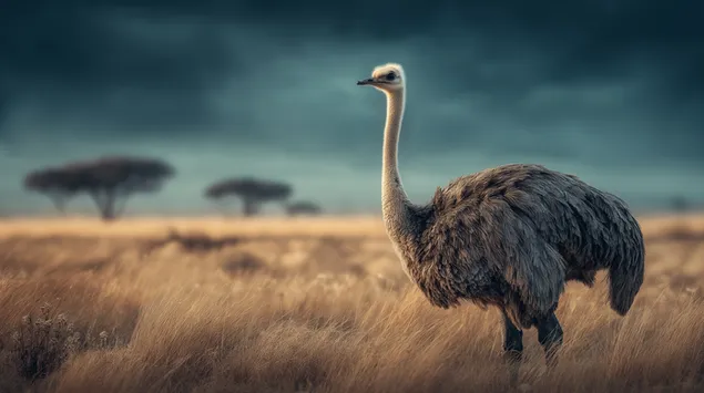 Taustpilt Hüperrealistlik jaanalind seisab kuldsel rohumaal savannis 2K