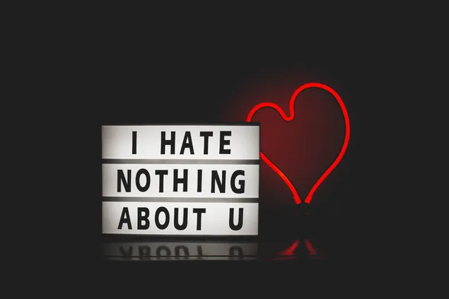 No odio nada de ti