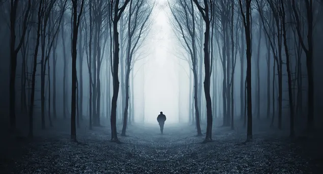 Tapeta Kráčal som po osamelej ceste v temnej noci 4K