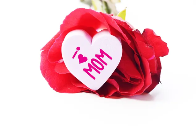 I love Mom in a cute heart with red Rose