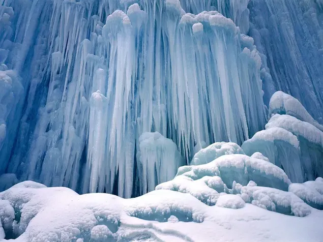 雪原の寒さでできた氷の結晶