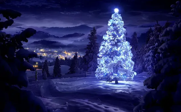 Cây thông Noel băng giá và đêm