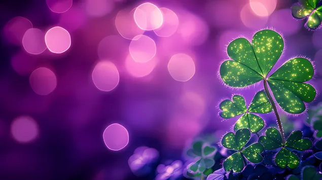 Shamrock Bercahaya dalam Kilauan Mimpi 6K kertas dinding