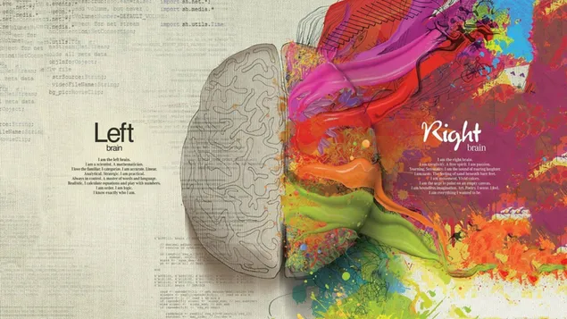 Ilustración de cerebro multicolor