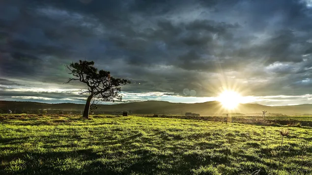 Imagen de hierba verde, plantas y árboles con las luces del sol naciente detrás del cielo nublado oscuro y las colinas 4K fondo de pantalla