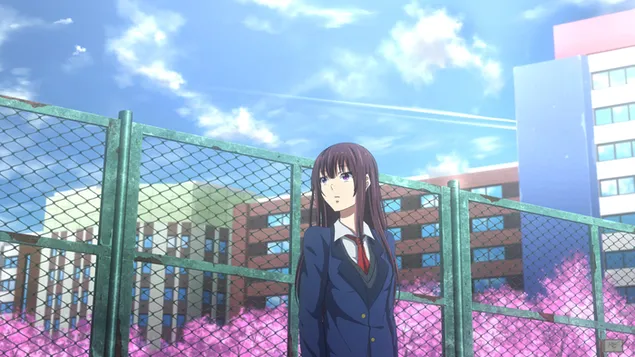 Во училиштето за патишта HD тапет