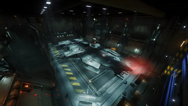 Binne-hamerkop - sterburger 4K muurpapier