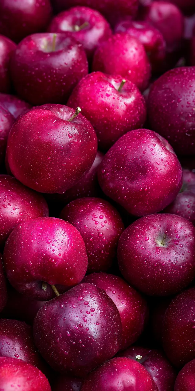 krupnyy plan vlazhnykh, obil'nykh kruglykh plodov urozhaya skachat'