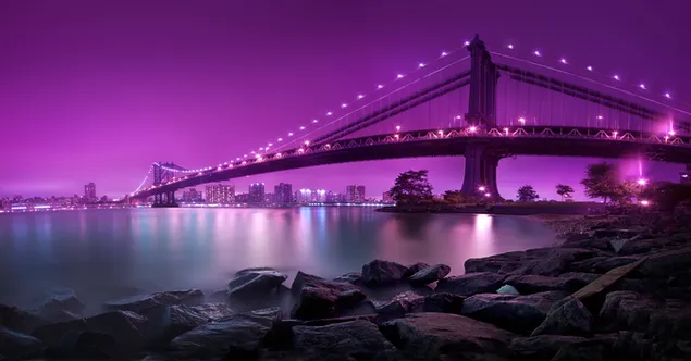 Puente de hierro en luces moradas de mar y cielo pintado con luces moradas 8K fondo de pantalla