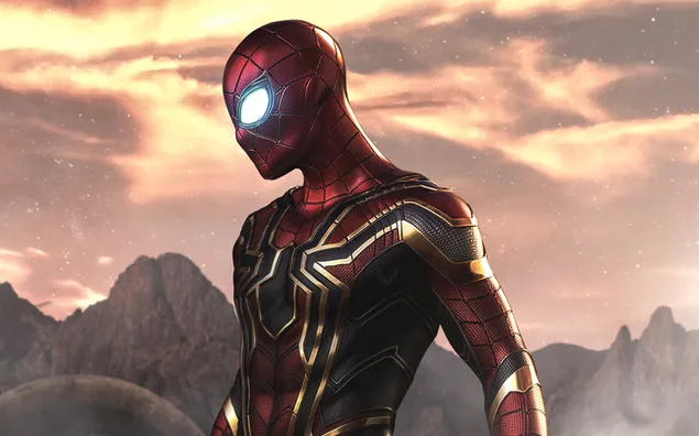 Iron spider-man