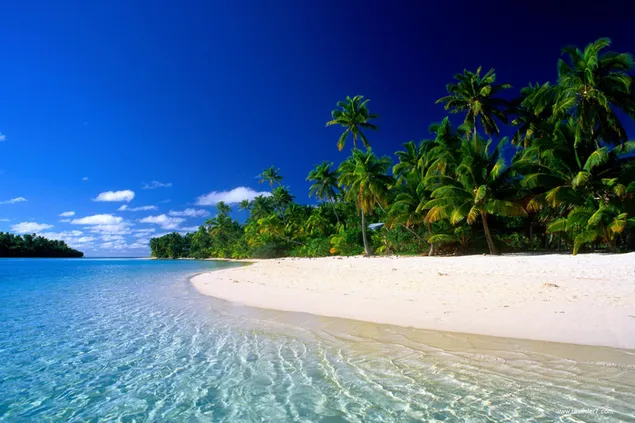 Isla de playa de arena blanca