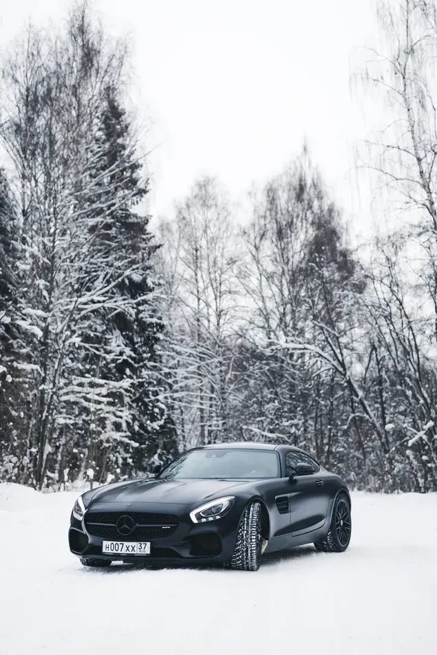 Se ve muy bien con su llanta de acero Mercedes negro mate y logoso estacionado entre árboles nevados. descargar