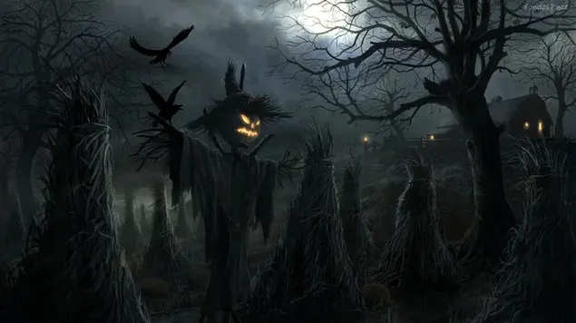 Jack-o-lantern Alone In Halloween Night HD wallpaper