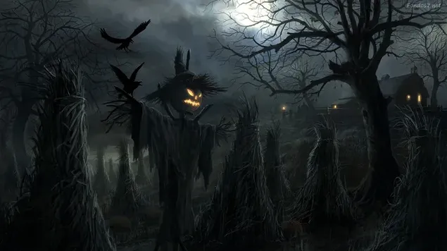 Jack-o-lantern Awake On Halloween Dark Night HD wallpaper